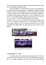 Referāts 'Grafiti', 8.