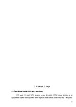 Referāts 'Grafiti', 11.