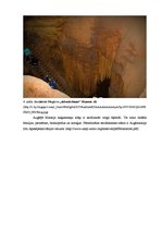 Referāts 'Karsta procesi Mamuta alas Nacionālajā parkā, ASV', 7.