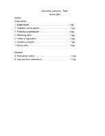 Biznesa plāns 'Tulkošanas sabiedrība "Vitas"', 1.