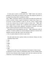 Biznesa plāns 'Tulkošanas sabiedrība "Vitas"', 2.