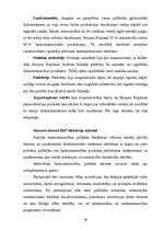 Diplomdarbs 'Latvijas lauksaimniecība ceļā uz Eiropas Savienību', 27.