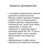 Konspekts 'Флористика', 7.