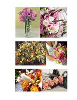 Konspekts 'Флористика', 9.