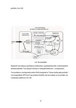 Referāts 'Vilsona slimība', 6.