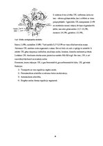 Referāts 'Vilsona slimība', 8.