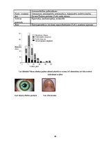 Referāts 'Vilsona slimība', 10.