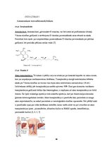 Referāts 'Vilsona slimība', 14.