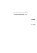 Referāts 'Angļu valodas apguves iespējas internetā', 1.