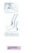 Referāts 'Latvijas iedzīvotāju nodarbošanās 5.-12.gadsimtā', 6.