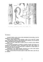 Referāts 'Latvijas iedzīvotāju nodarbošanās 5.-12.gadsimtā', 8.