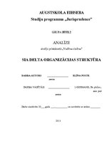 Paraugs 'SIA "Delta" organizācijas struktūra', 1.