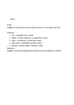 Eseja 'Spilgti sieviešu tēli H.Ibsena lugā "Pērs Gints"', 4.
