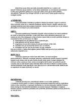 Konspekts 'Pasaules kultūras attīstības pamatvirzieni', 2.