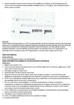 Paraugs 'Sirds fizioloģija, automātija', 3.