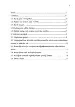 Referāts 'Gaisa piesārņojums un tā sekas', 2.