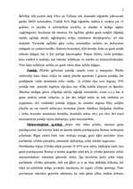 Referāts 'Gaisa piesārņojums un tā sekas', 5.