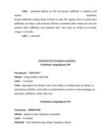 Referāts 'Alkohols - iemācies pateikt "Nē"', 12.