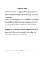 Referāts 'Piktogrāfiskā rakstība', 4.