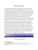 Referāts 'Piktogrāfiskā rakstība', 5.