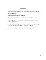 Referāts 'Piktogrāfiskā rakstība', 8.