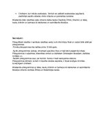 Referāts 'Piktogrāfiskā rakstība', 12.