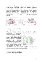 Konspekts 'Klimata izmaiņas', 3.