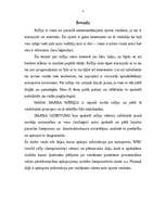 Referāts 'Rallijs', 3.