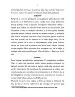 Referāts 'Rallijs', 5.