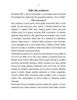 Referāts 'Rallijs', 12.