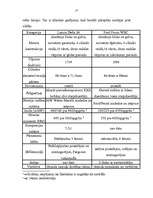 Referāts 'Rallijs', 13.