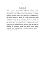 Referāts 'Rallijs', 17.