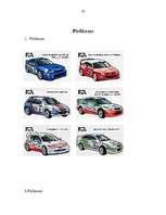 Referāts 'Rallijs', 20.