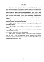 Referāts 'Ģeotermālās apkures sistēmas', 5.