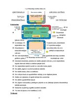 Referāts 'Ģeotermālās apkures sistēmas', 10.