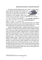 Referāts 'Ģeotermālās apkures sistēmas', 12.