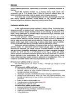 Konspekts 'ES konkurences politika', 6.