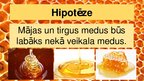 Prezentācija 'Medus analīze', 2.