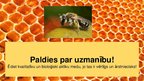 Prezentācija 'Medus analīze', 21.