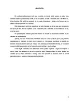 Referāts 'Internets, tā pieejamība un izmantošana Rīgā', 2.