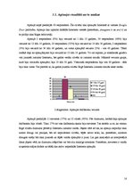 Referāts 'Internets, tā pieejamība un izmantošana Rīgā', 16.