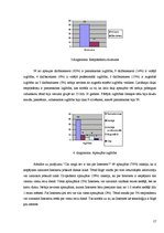 Referāts 'Internets, tā pieejamība un izmantošana Rīgā', 17.