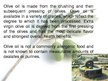 Prezentācija 'Extra Virgin Olive Oil', 3.