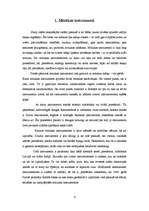 Referāts 'Sitaminstrumenti', 3.