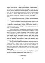 Referāts 'Sitaminstrumenti', 8.