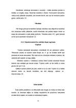 Referāts 'Sitaminstrumenti', 12.