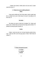 Referāts 'Sitaminstrumenti', 13.