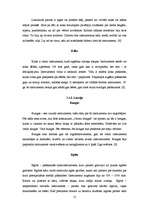 Referāts 'Sitaminstrumenti', 14.