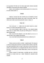 Referāts 'Sitaminstrumenti', 15.