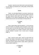 Referāts 'Sitaminstrumenti', 17.